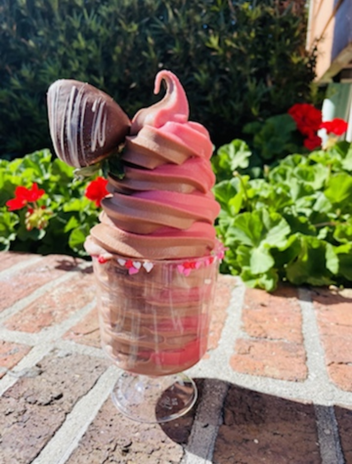 Disney World: Guide to Making Your Dreams Come True!