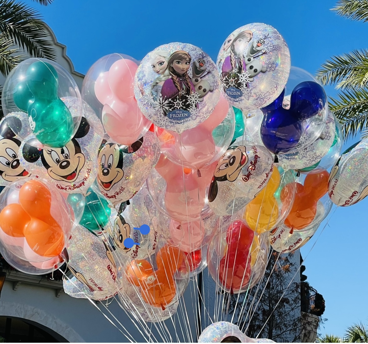 Disneyland Tips, Hints and Secrets