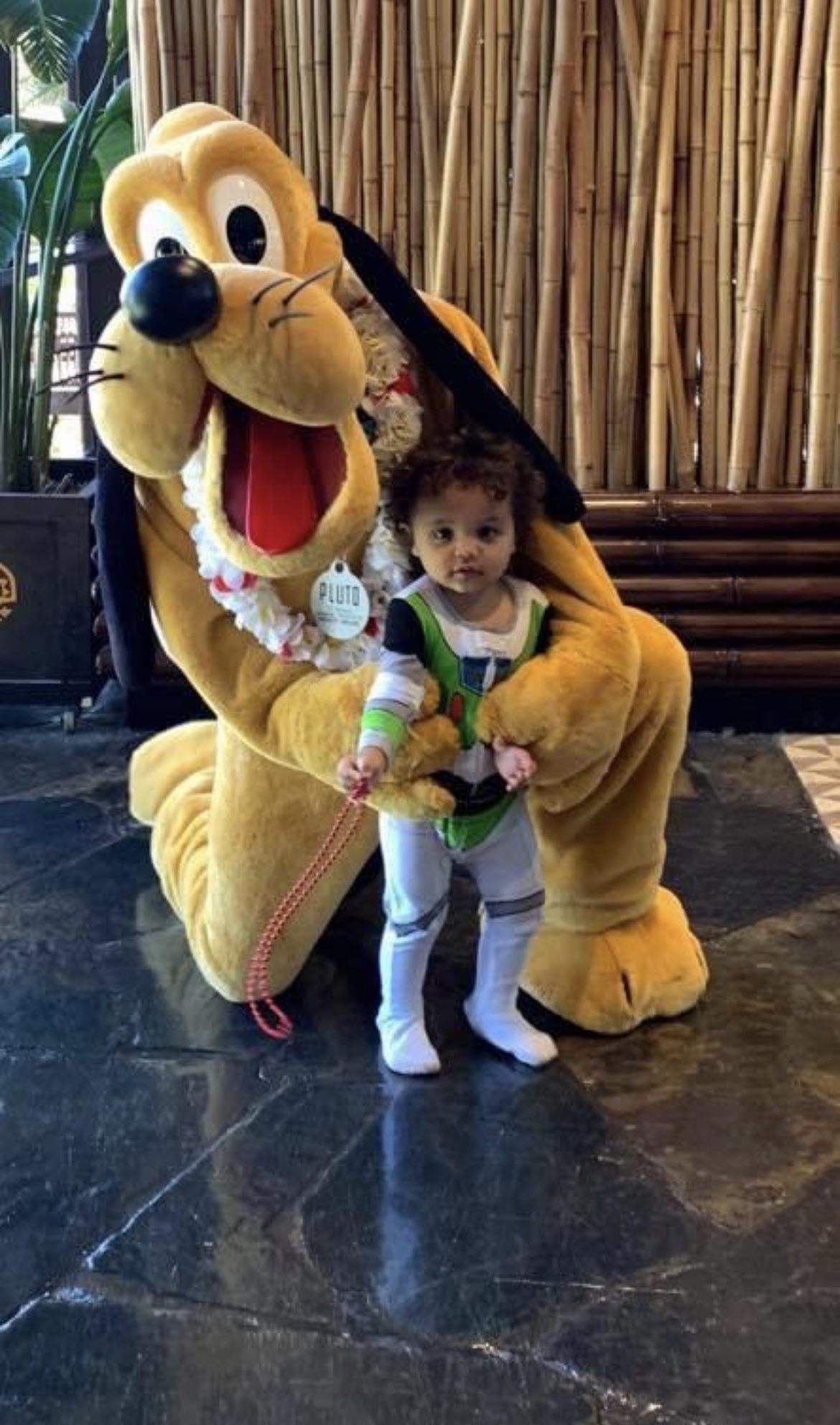 Tips for Taking Your Toddler to Disney