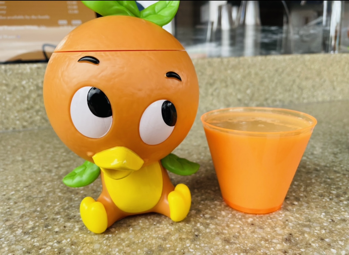 The Survivalist’s Guide to Walt Disney World