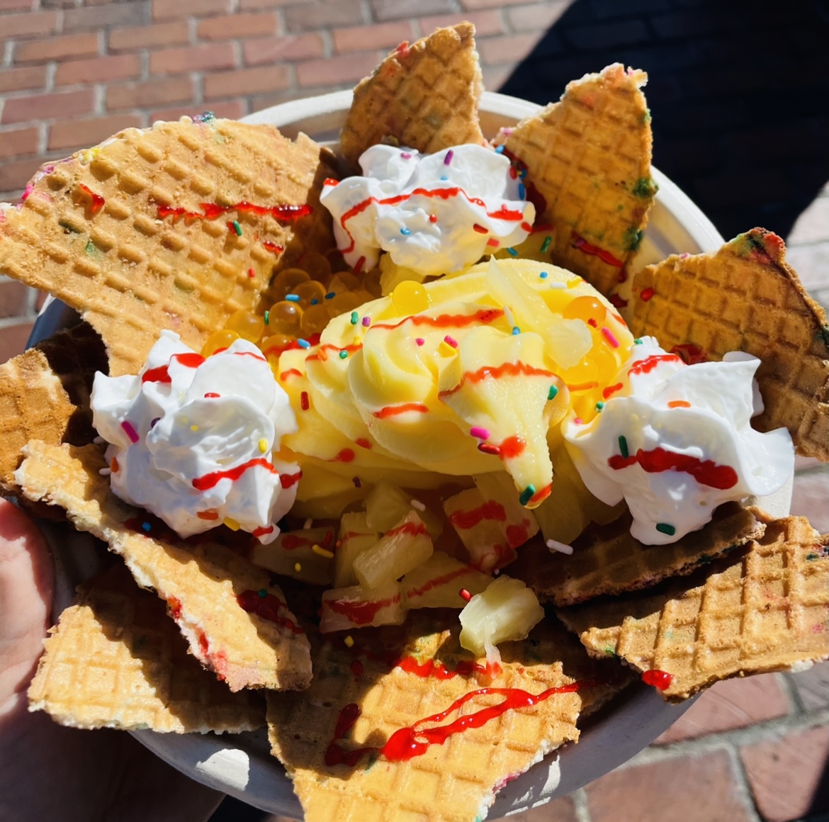 Disney World In One Day: Is It Possible?