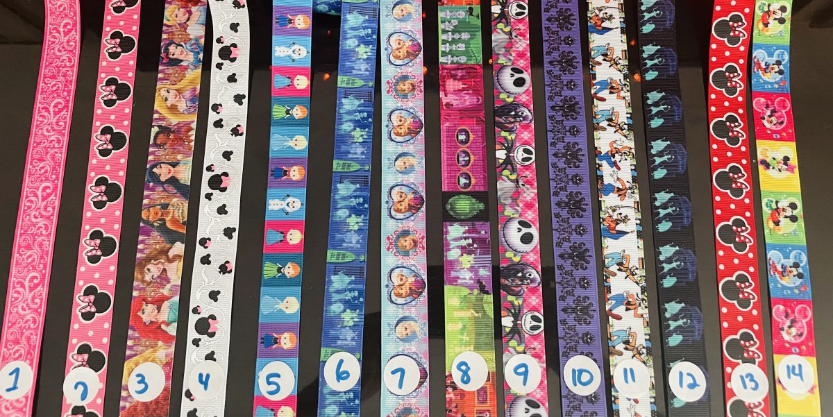 Disney mask holder/lanyard