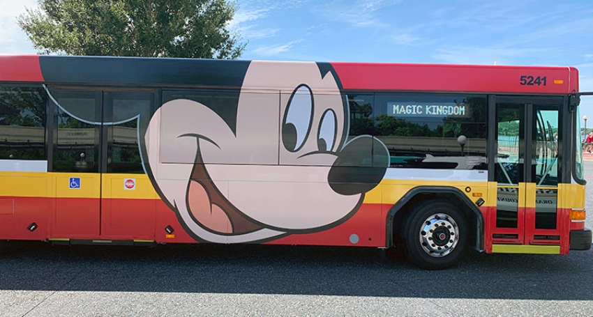 The Survivalist’s Guide to Walt Disney World