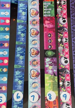 Disney mask holder/lanyard